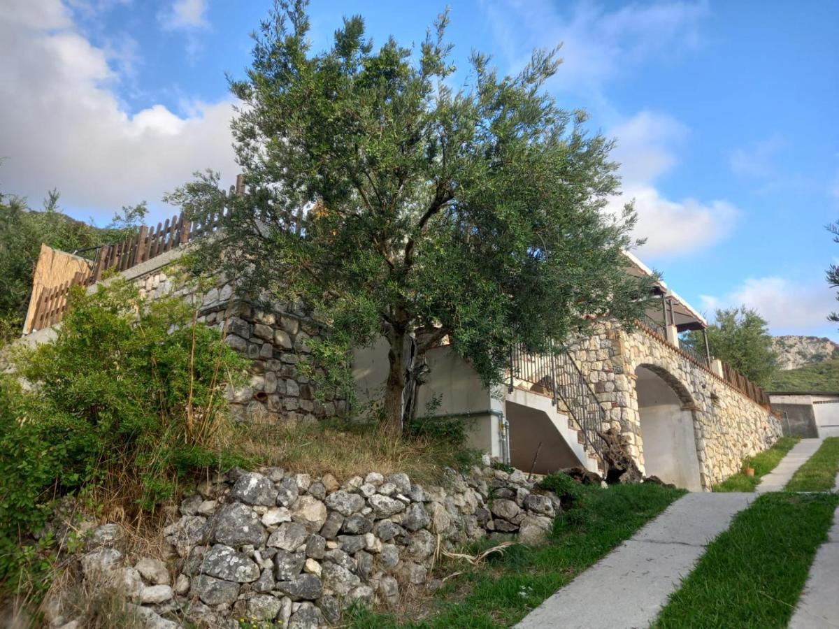 B&B Da Maria Teresa - Maratea Zewnętrze zdjęcie