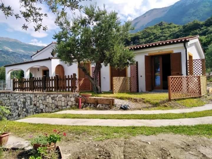 B&B Da Maria Teresa - Maratea Zewnętrze zdjęcie