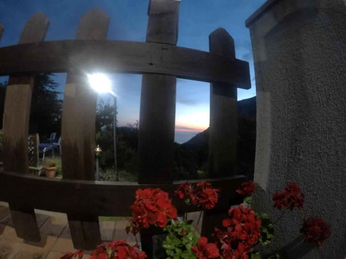 B&B Da Maria Teresa - Maratea Zewnętrze zdjęcie