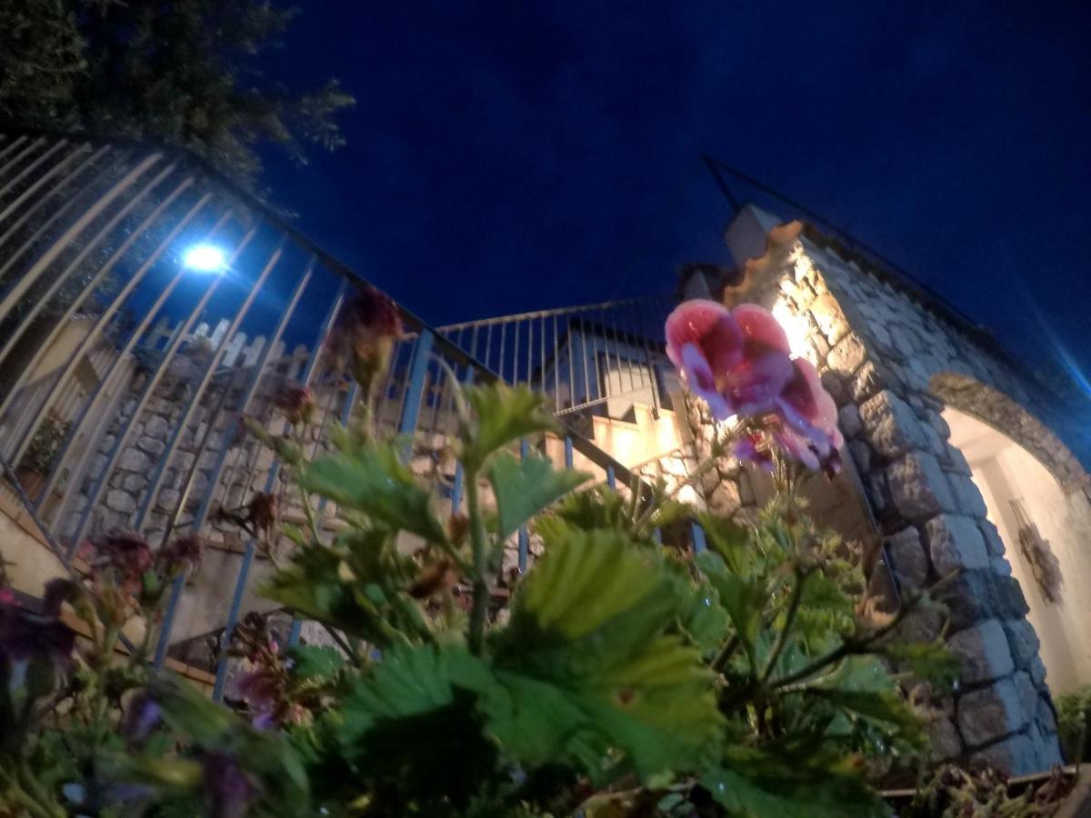 B&B Da Maria Teresa - Maratea Zewnętrze zdjęcie