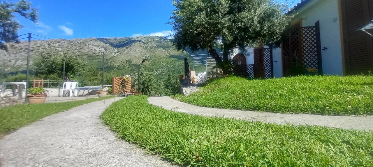 B&B Da Maria Teresa - Maratea Zewnętrze zdjęcie